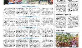 云南日报头条新闻爆料,揭秘云南最新热点事件